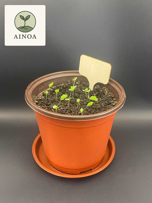 Gro-sæt: Rør mig ej