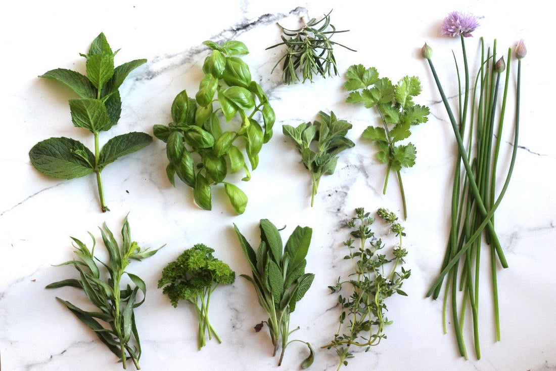 Guide til dyrkning af egen krydderurt