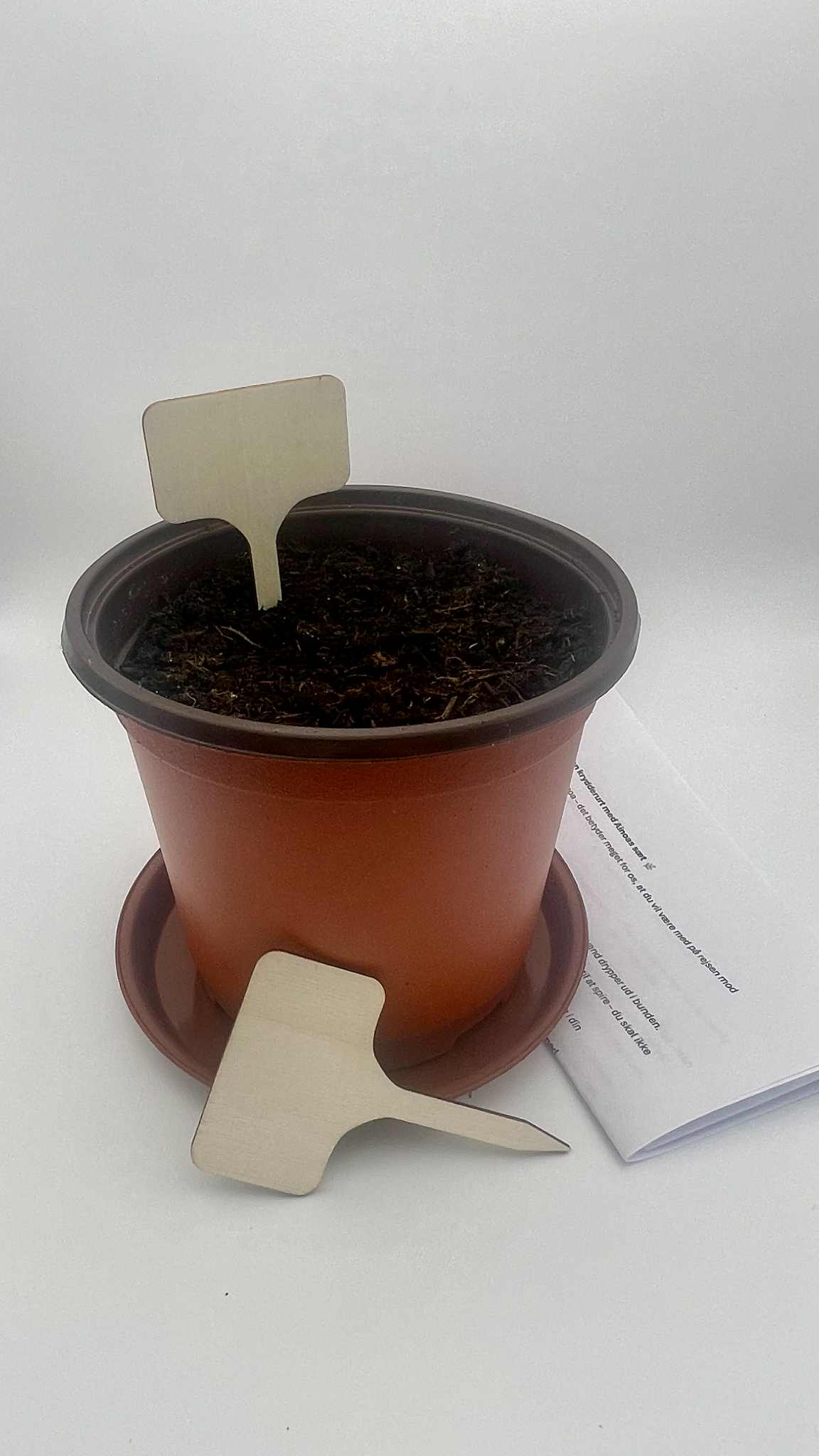 Gro-sæt: Egen krydderurt