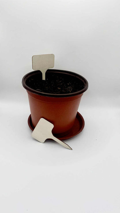 Gro-sæt: Rør mig ej